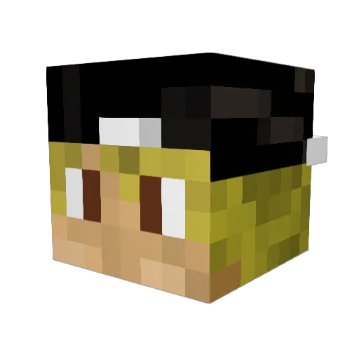 _LucasHD_ Minecraft avatar head, 3D render