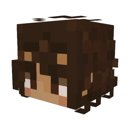 _Lucuis_ Minecraft avatar head, 3D render