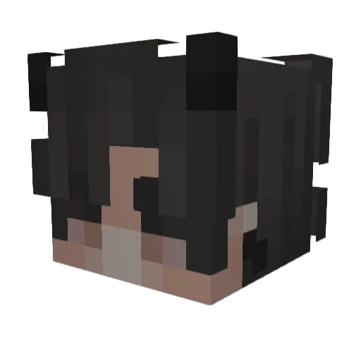 _Lukitas Minecraft avatar head, 3D render