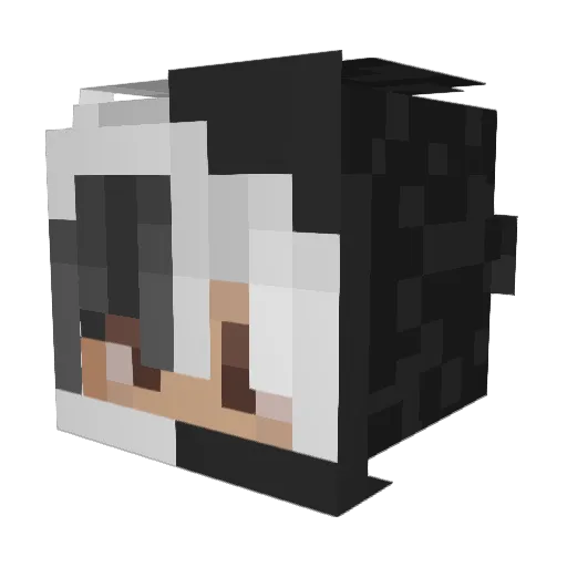 _Lukiter_ Minecraft avatar head, 3D render