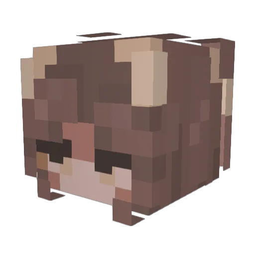 _LunaMoona_ Minecraft avatar head, 3D render