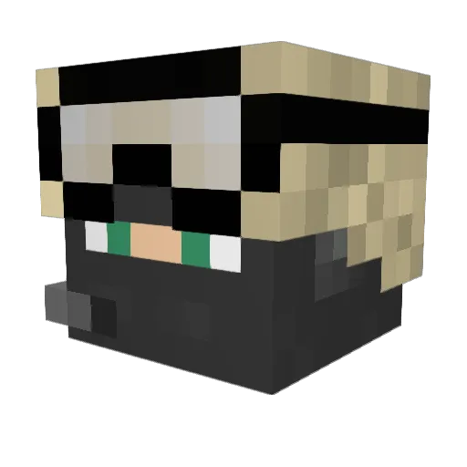 _LunaTuna_ Minecraft avatar head, 3D render