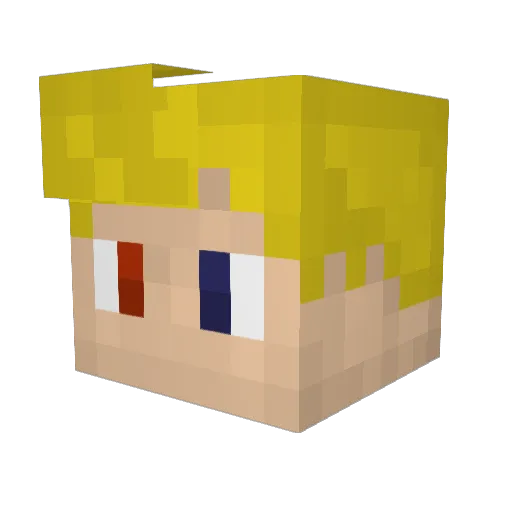 _LungenTorpedo Minecraft avatar head, 3D render
