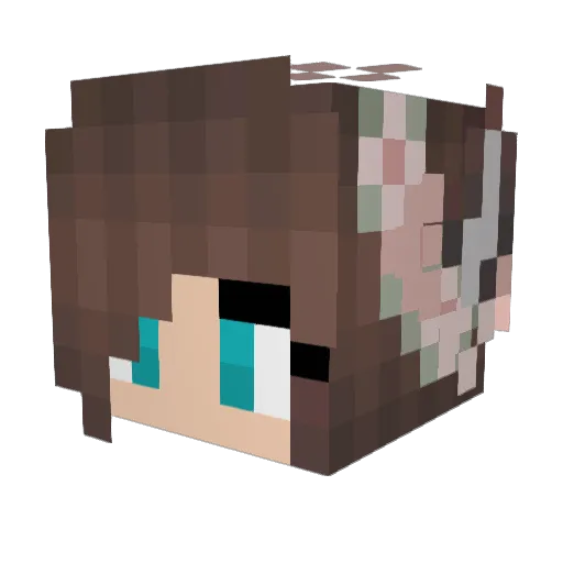 _Lyfie_ Minecraft avatar head, 3D render