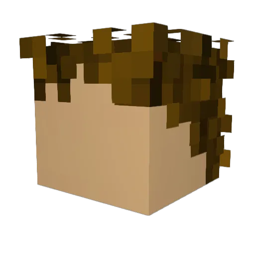 _MAC___ Minecraft avatar head, 3D render