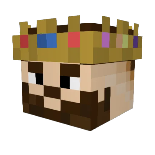 _MEtRo1 Minecraft avatar head, 3D render