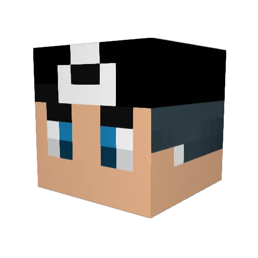 _MRLEO Minecraft avatar head, 3D render