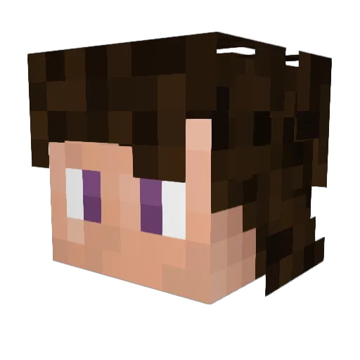 _MXD_ Minecraft avatar head, 3D render
