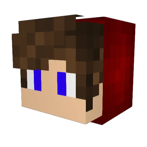 _Madeirense_ Minecraft avatar head, 3D render