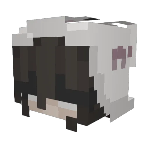 _Maee_e Minecraft avatar head, 3D render