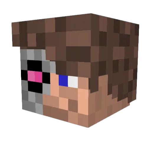 _MaitreTis_ Minecraft avatar head, 3D render