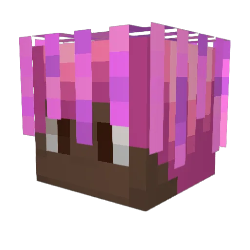 _Malachi101 Minecraft avatar head, 3D render
