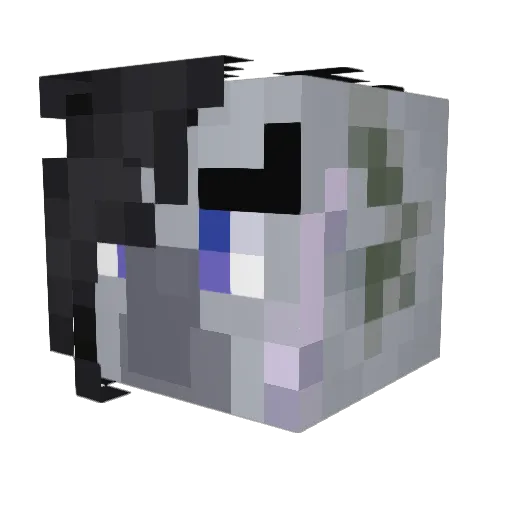 _MamaRavenous_ Minecraft avatar head, 3D render