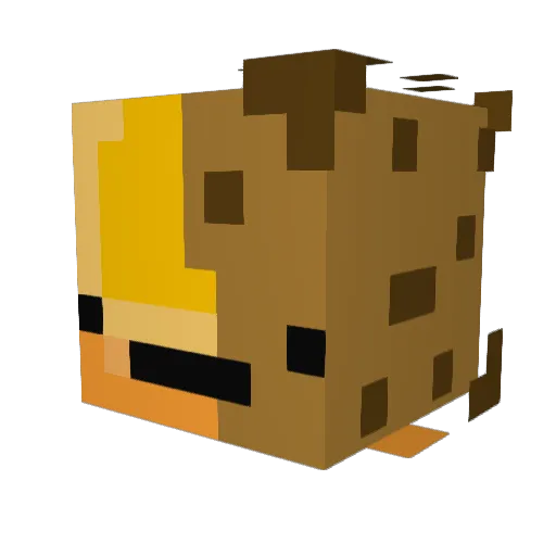 _Mango_Cookie_ Minecraft avatar head, 3D render