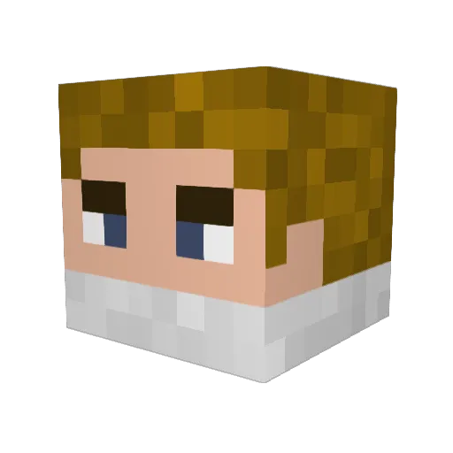 _Marvin_123_ Minecraft avatar head, 3D render