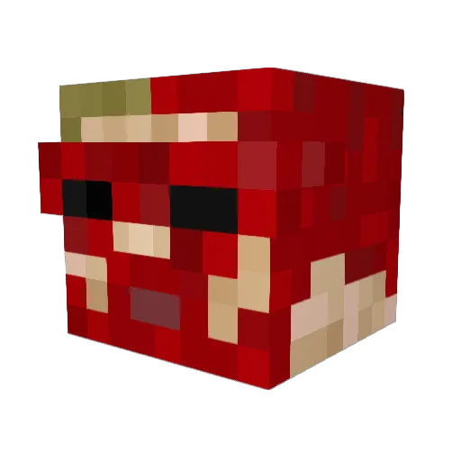 _MasterPanda Minecraft avatar head, 3D render