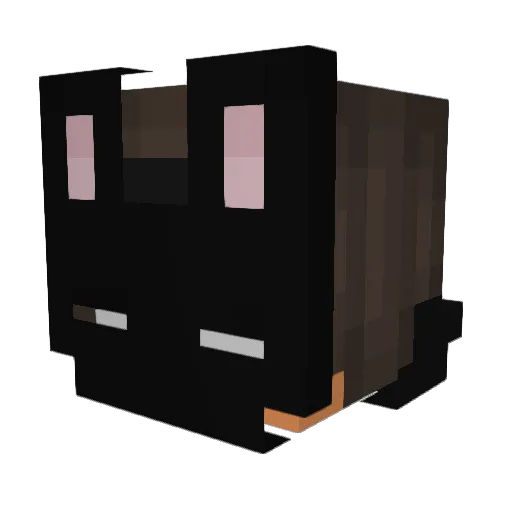 _MatRx Minecraft avatar head, 3D render