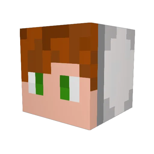 _Matheus__ Minecraft avatar head, 3D render