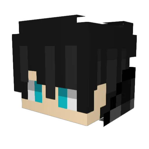 _Matkinsus10_ Minecraft avatar head, 3D render