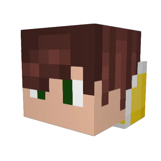 _Maver1ck Minecraft avatar head, 3D render