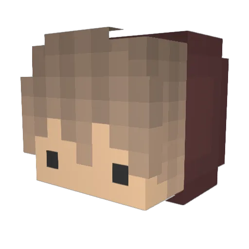 _Maxs Minecraft avatar head, 3D render