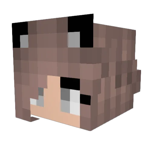_Mc_Mix_ Minecraft avatar head, 3D render