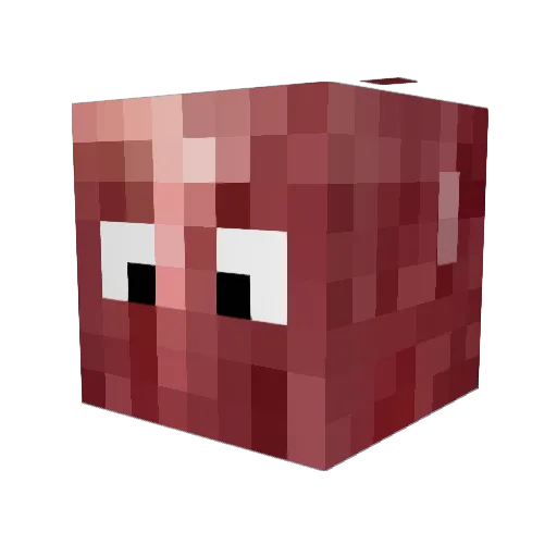 _Meat__ Minecraft avatar head, 3D render
