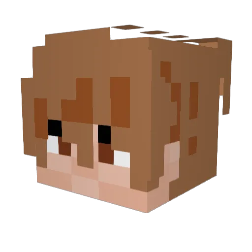 _Meeg Minecraft avatar head, 3D render