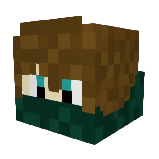 _MelonNinja_ Minecraft avatar head, 3D render
