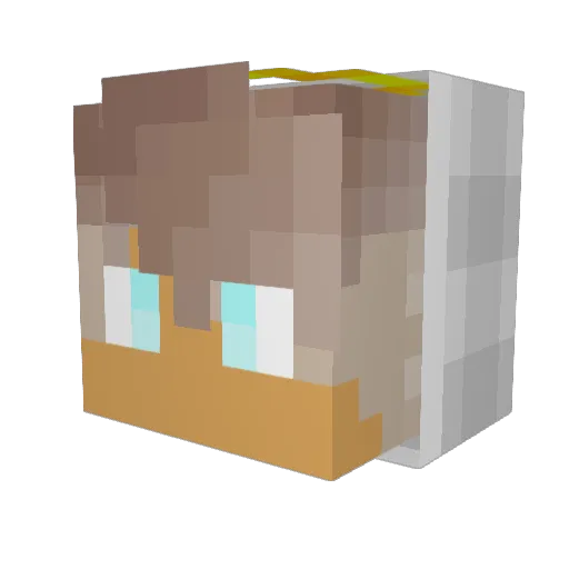 _MercyTheMedic_ Minecraft avatar head, 3D render