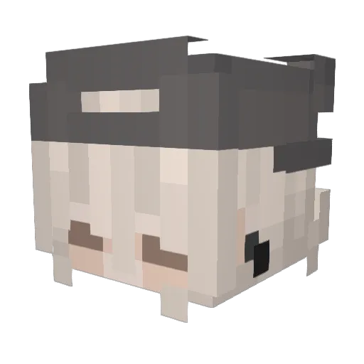 _Met__ Minecraft avatar head, 3D render