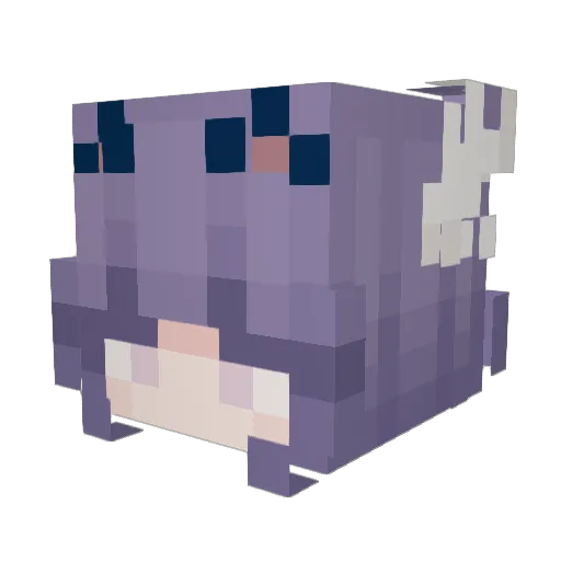 _MidnightCat_ Minecraft avatar head, 3D render