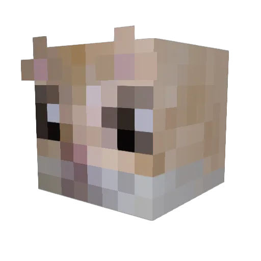 _Migles Minecraft avatar head, 3D render