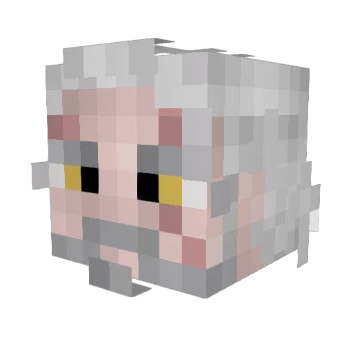 _Mik0laj_69 Minecraft avatar head, 3D render