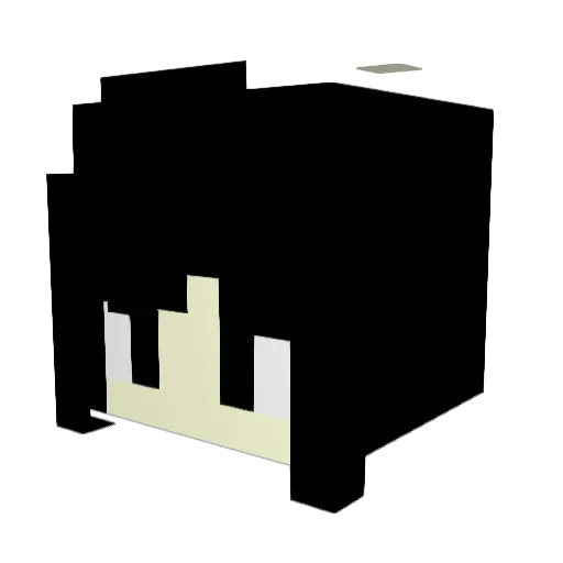 _Mikayla_ Minecraft avatar head, 3D render