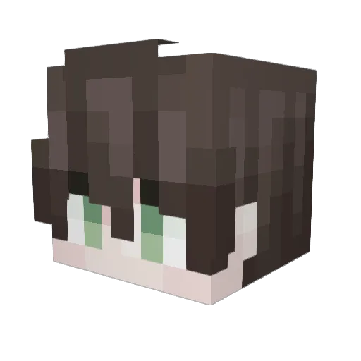 _MilkyWay16 Minecraft avatar head, 3D render