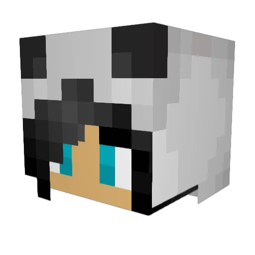 _Miro1_ Minecraft avatar head, 3D render