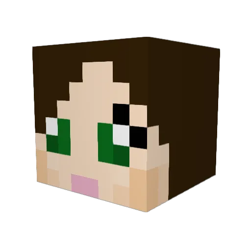 _Mistress Minecraft avatar head, 3D render
