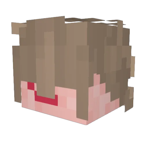 _Mo0nster_161_ Minecraft avatar head, 3D render