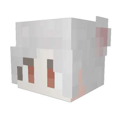 _Mola_ Minecraft avatar head, 3D render