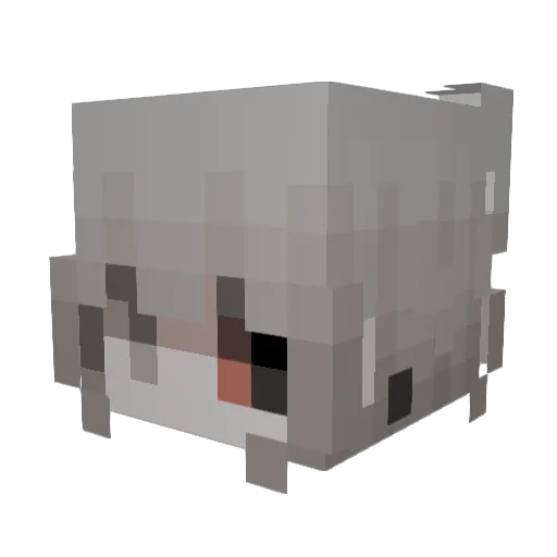 _Moonee Minecraft avatar head, 3D render