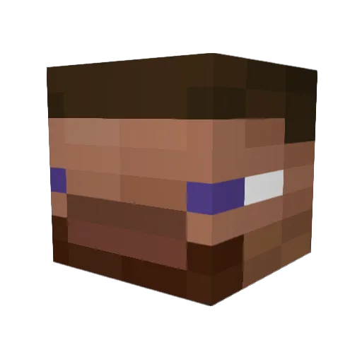 _Morning_Tea_ Minecraft avatar head, 3D render