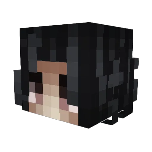 _Mouette Minecraft avatar head, 3D render