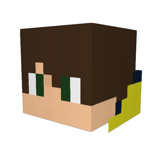 _MrBirne_ Minecraft avatar head, 3D render