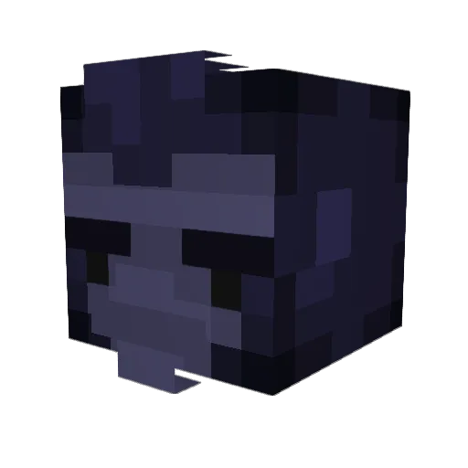 _MrEnderRobot Minecraft avatar head, 3D render