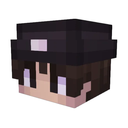 _MrFlicoDa_ Minecraft avatar head, 3D render