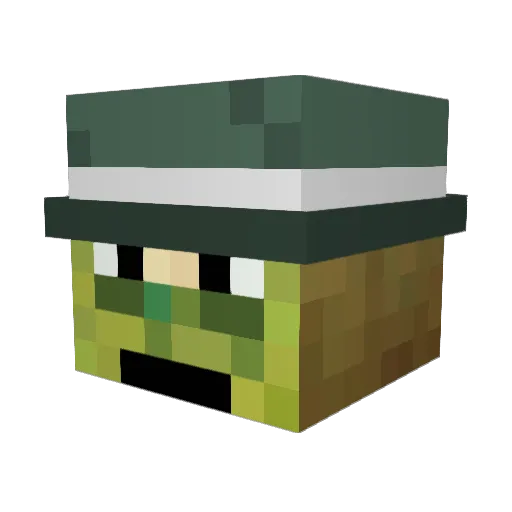 _MrKiwi Minecraft avatar head, 3D render