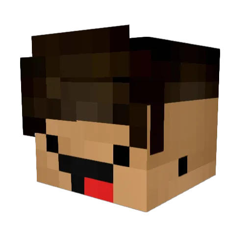 _MrLeandro_ Minecraft avatar head, 3D render