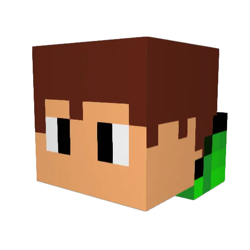 _MrVaner_ Minecraft avatar head, 3D render
