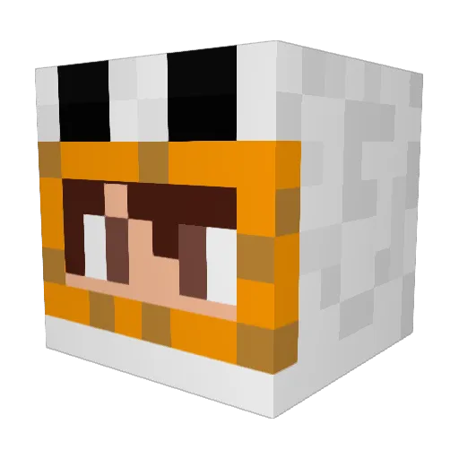 _Mr_Birdy_ Minecraft avatar head, 3D render